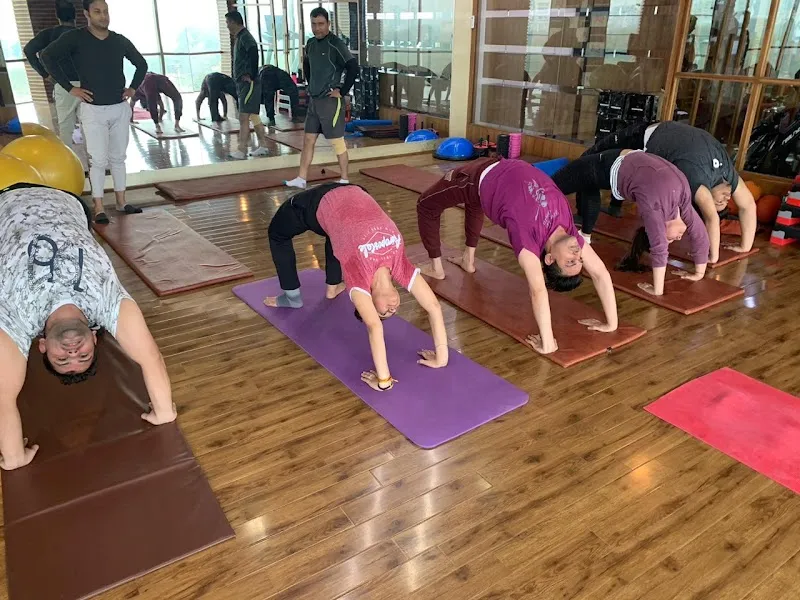 Livyogfit
