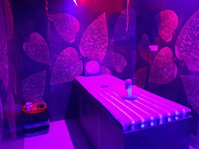 Rose Spa And Massage Service In Paharganj