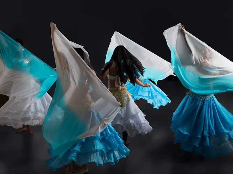 Nrityakosh - School of Belly Dance