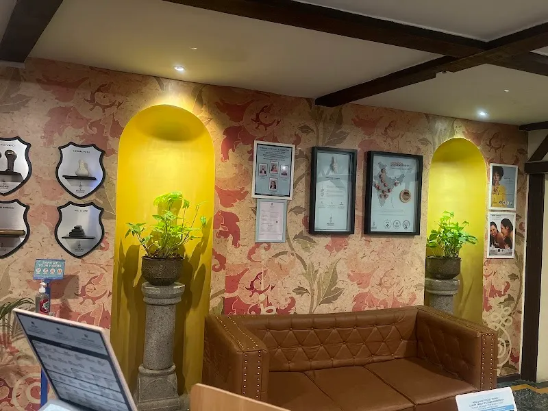 Meghavi Wellness Spa | Amrutha Castle
