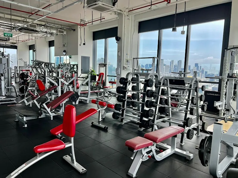 24ACEFIT