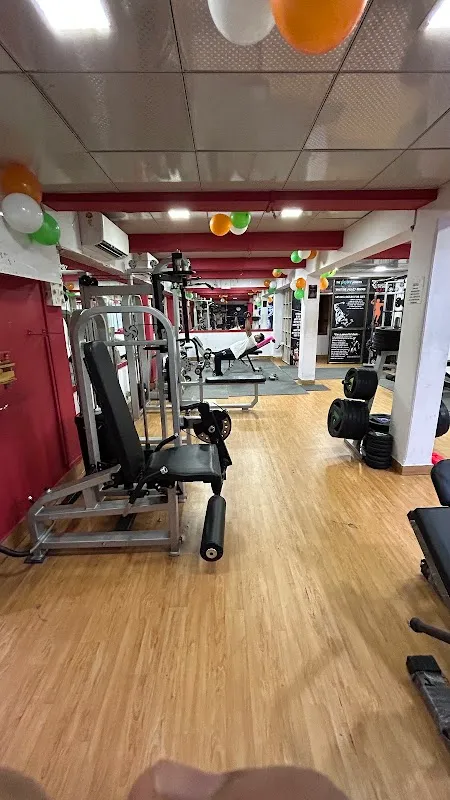 ALPHA FITGOD