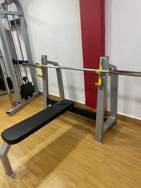 ALPHA FITGOD