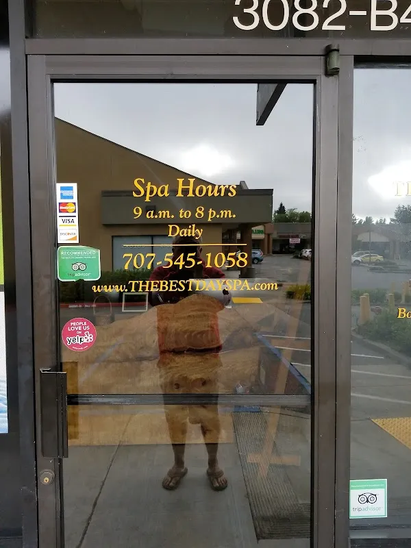 The Best Day Spa