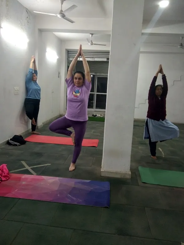 The Yoga Class