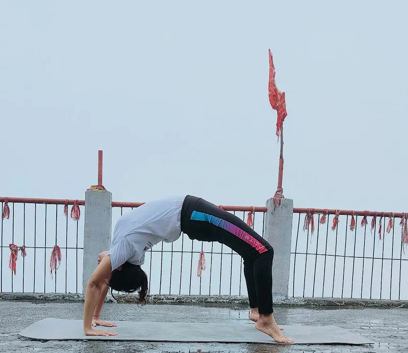 Sattva Yoga Wellness Studio
