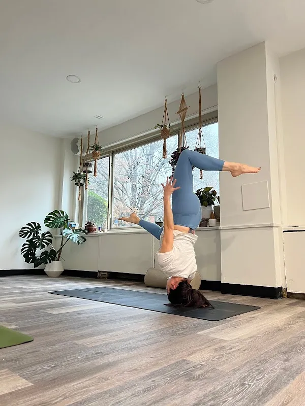 Yoga Commons