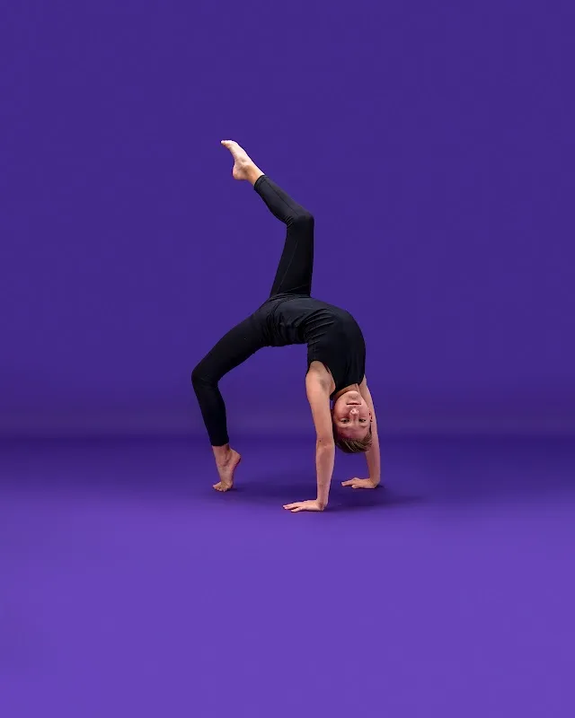 The Dance Collective, LLC