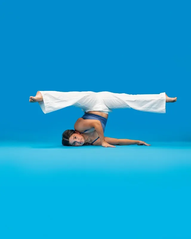 The Dance Collective, LLC