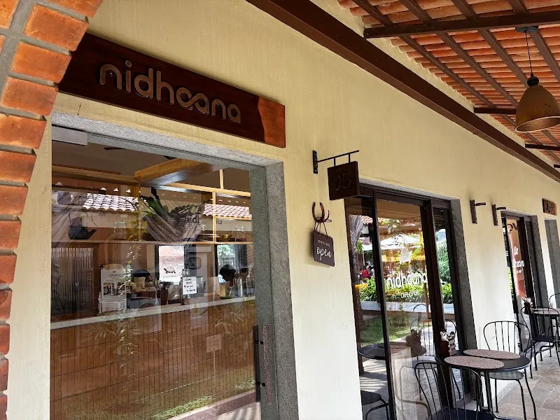 Nidhaana