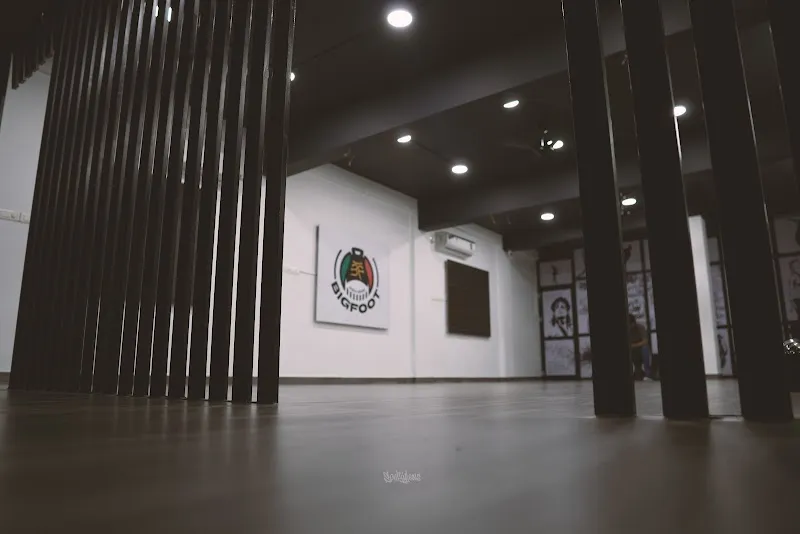 BigFoot Dance Arena - Dance Studio