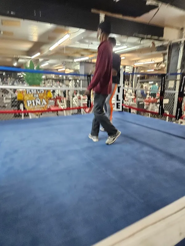 Xtreme Fitness of Westchester