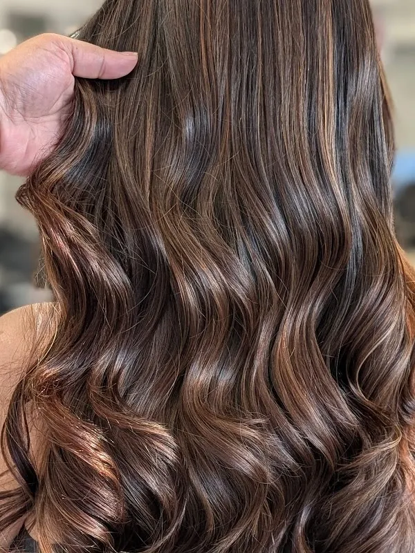Jawed Habib Hair Studio