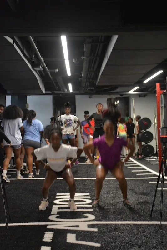 The Fit Faction