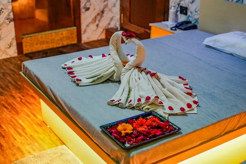 Vedanta International Wellness Spa