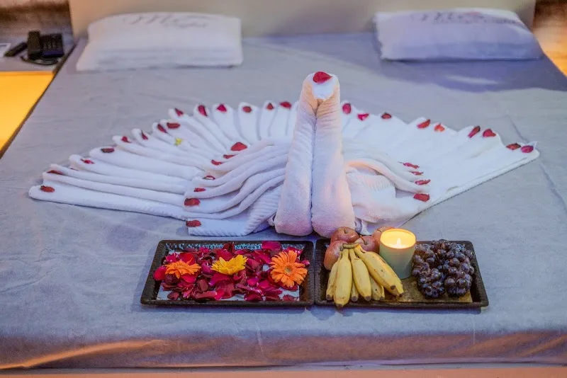 Vedanta International Wellness Spa