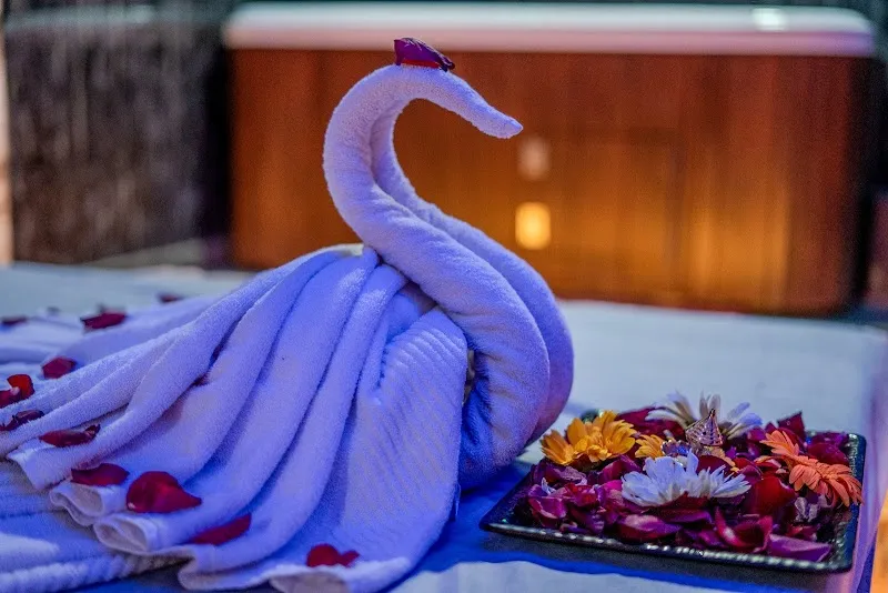 Vedanta International Wellness Spa