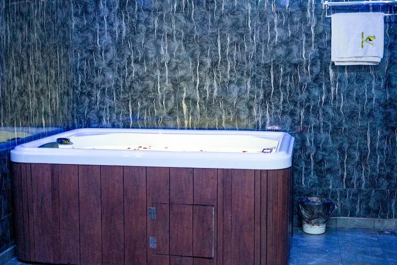 Vedanta International Wellness Spa