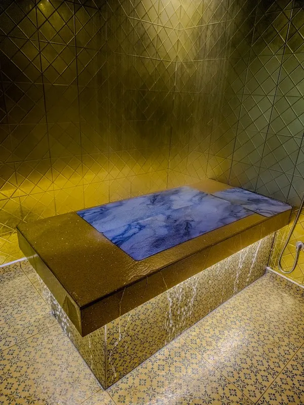 Vedanta International Wellness Spa