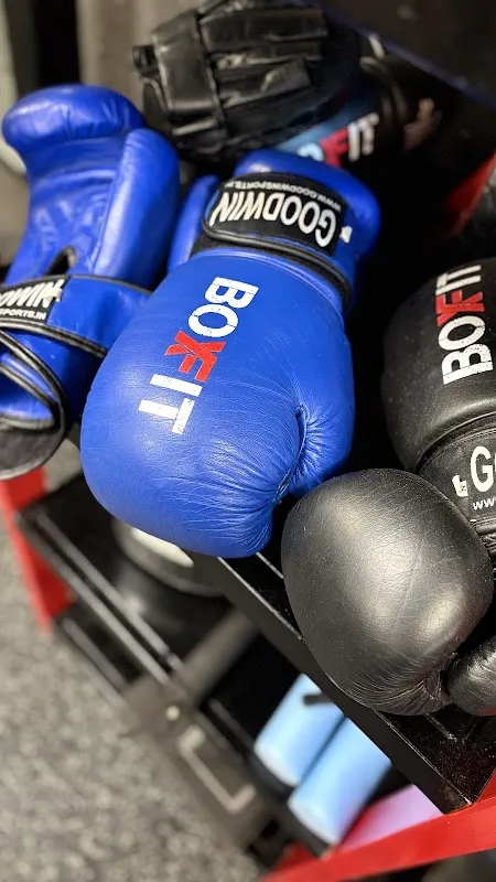 BoxFit GK