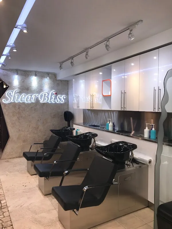 Shear Bliss NYC Salon