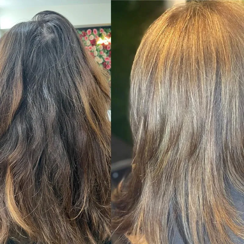 Maja Hair Salon