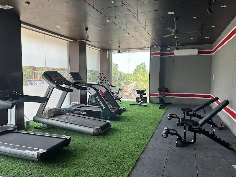 Fitness MH29 Unisex Gym