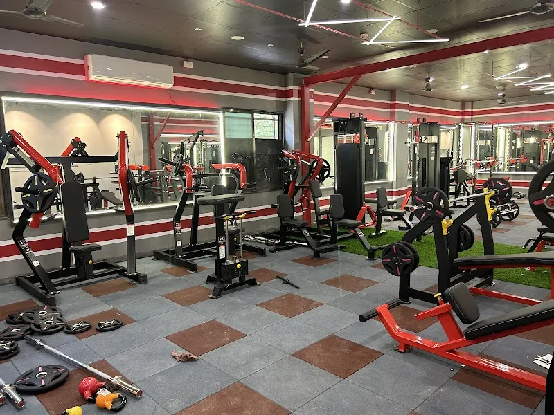 Fitness MH29 Unisex Gym