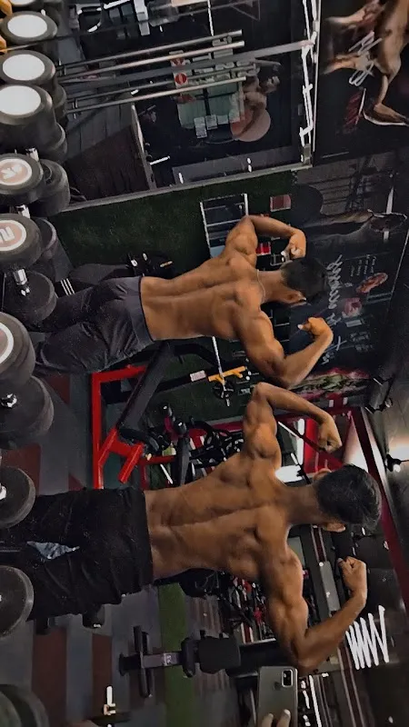 Fitness MH29 Unisex Gym