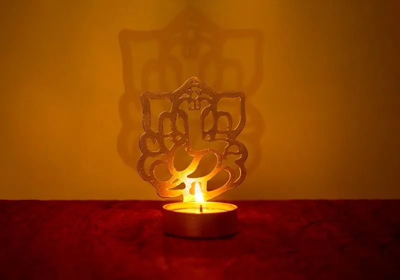 Niladri Photography