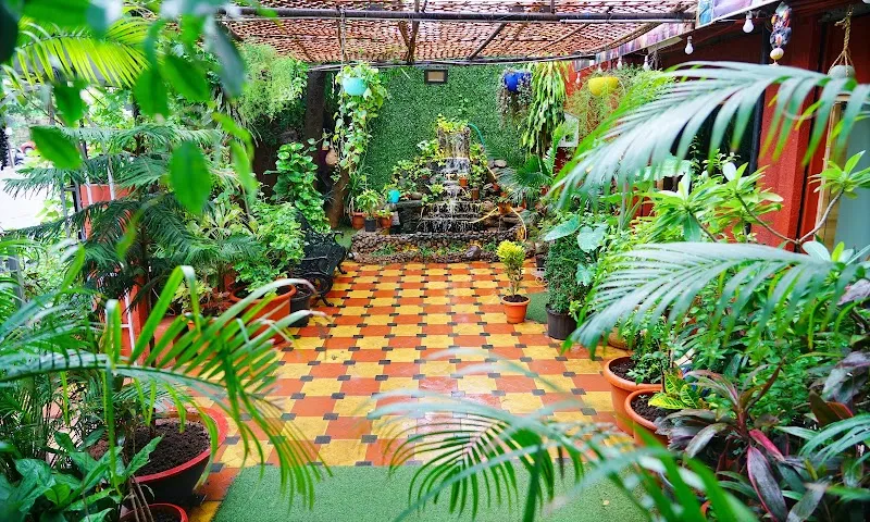 Aruna Studio Barkatpura