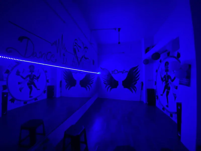 Art’s studio