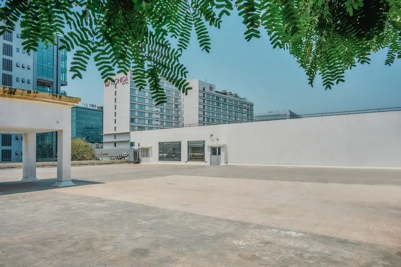 Vitamin Studios