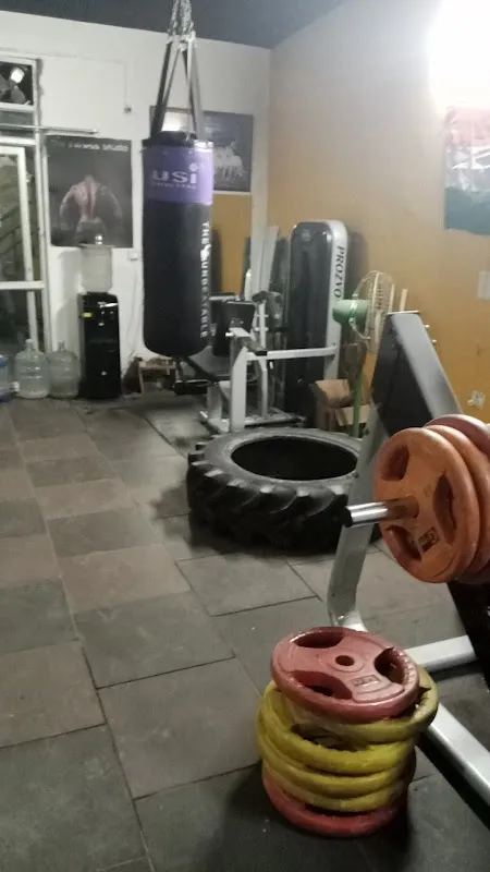 The Fitness Studio Unisex Gym