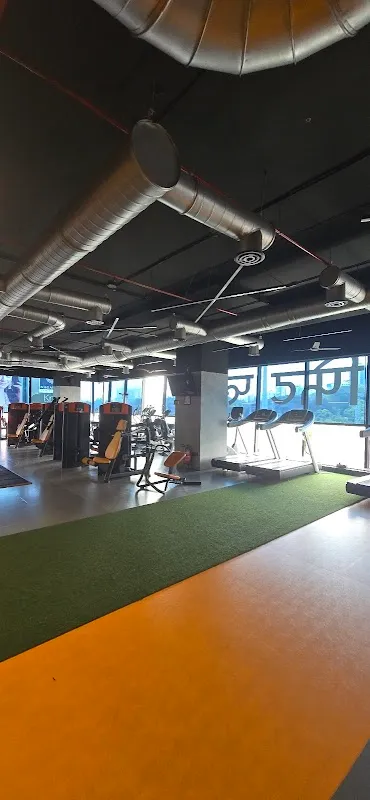 The Fit Playce