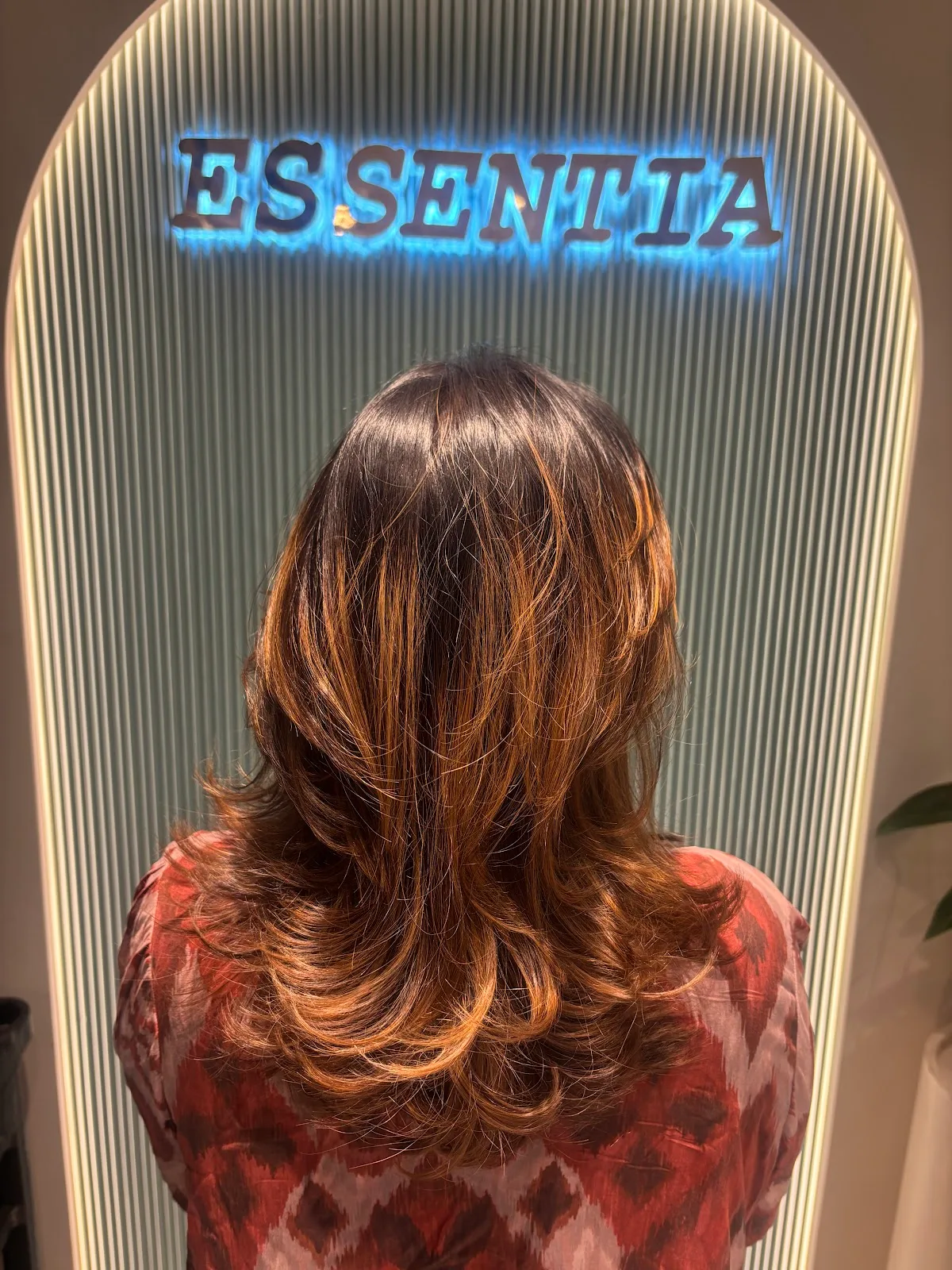 Essentia The Salon Lounge - Unisex Hair & Beauty Salon in Attapur, Hyderabad