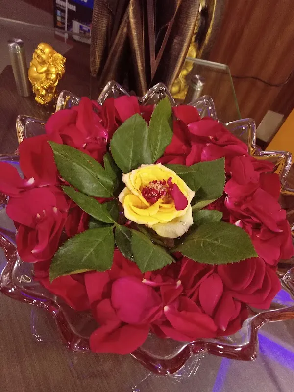 Pearls Spa and Wellness - Best Spa in Bhubaneswar