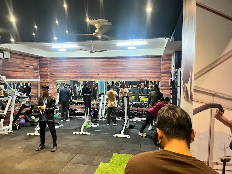The Iron Paradise Fitness Studio