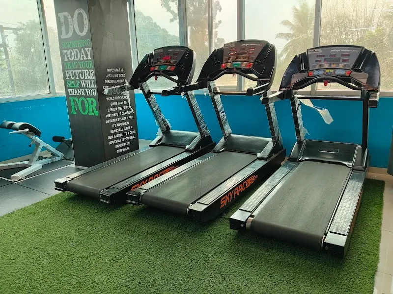 The Iron Paradise Fitness Studio