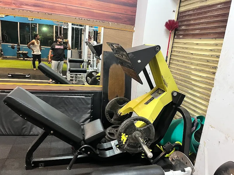 The Iron Paradise Fitness Studio