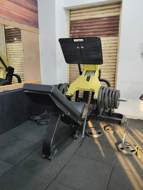 The Iron Paradise Fitness Studio