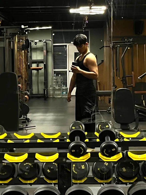 VETRIK FITNESS