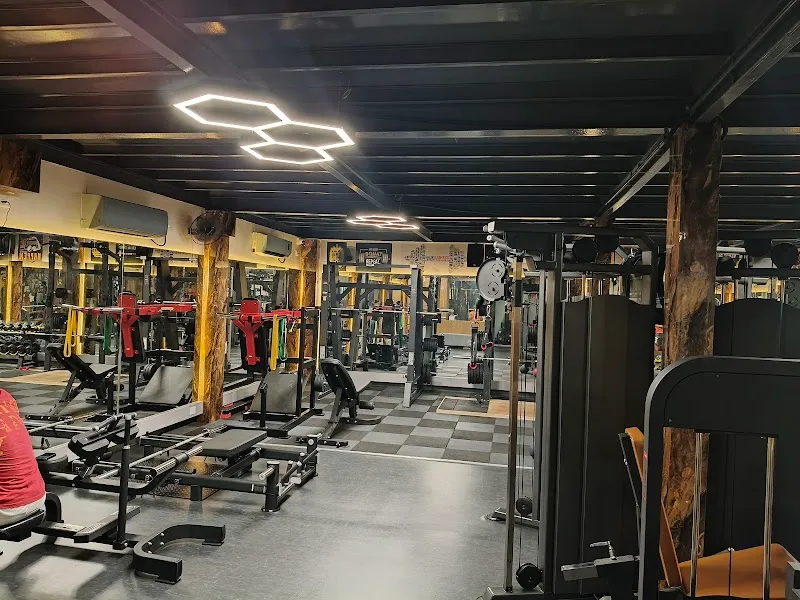 VETRIK FITNESS