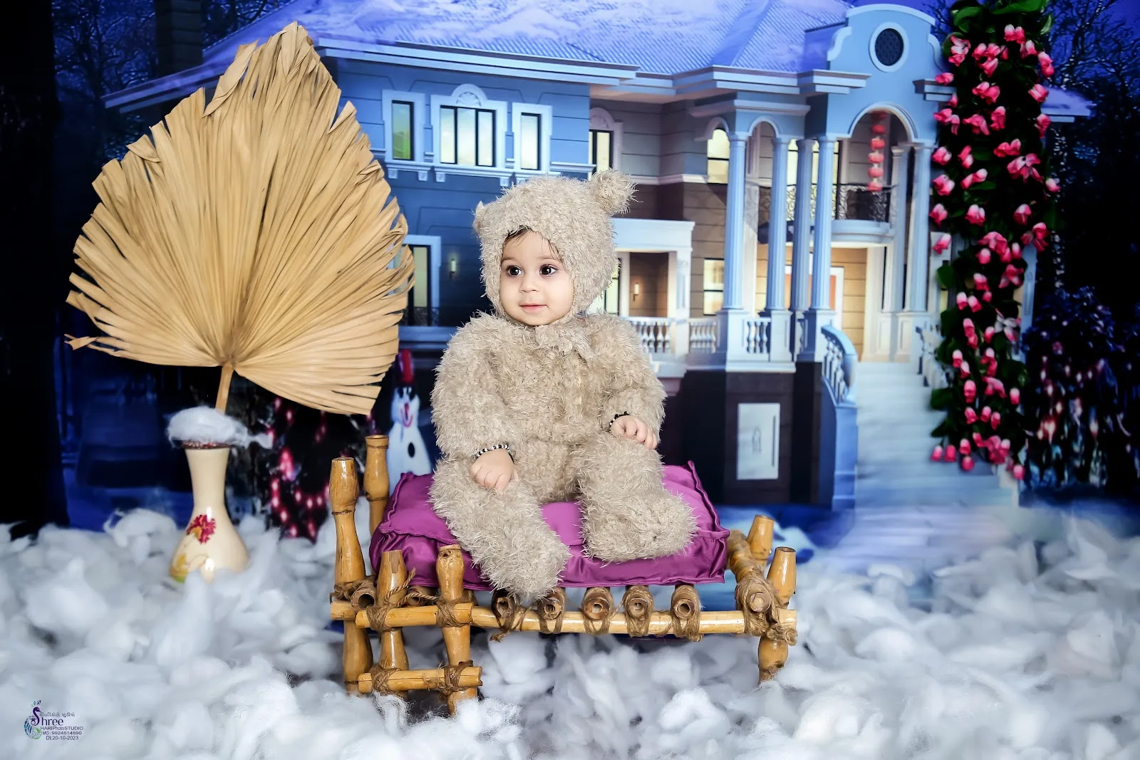 Shree Hari Photo Studio