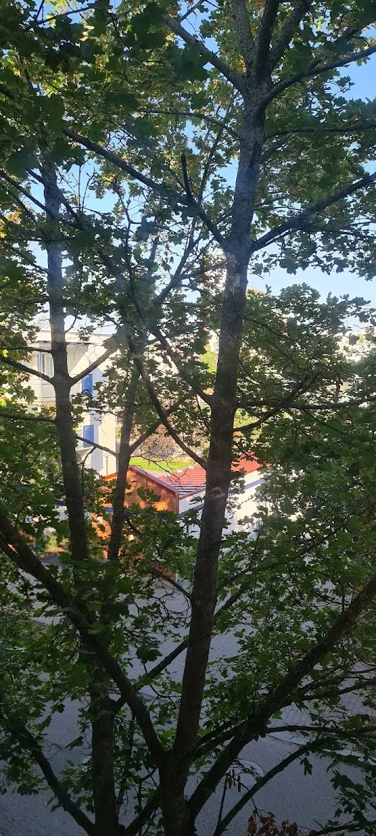 Kotipassikuva Oy