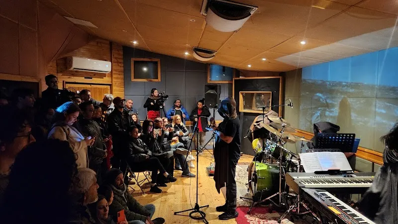 Estudio Vinilo