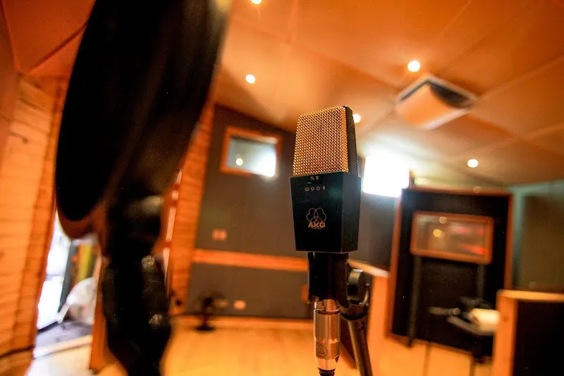Estudio Vinilo