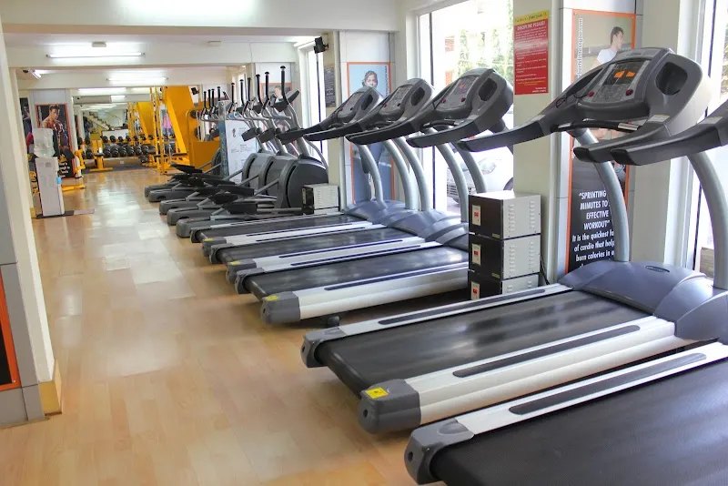 Norbert's Fitness Studio