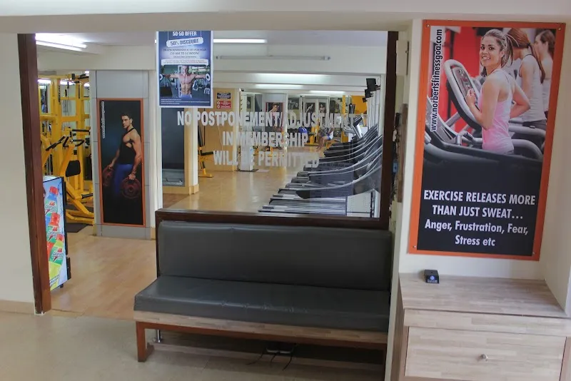 Norbert's Fitness Studio