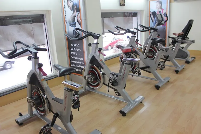 Norbert's Fitness Studio